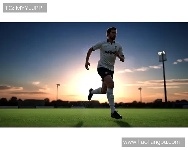 日本足球球星精彩插画展现绿茵风采与热血激情瞬间